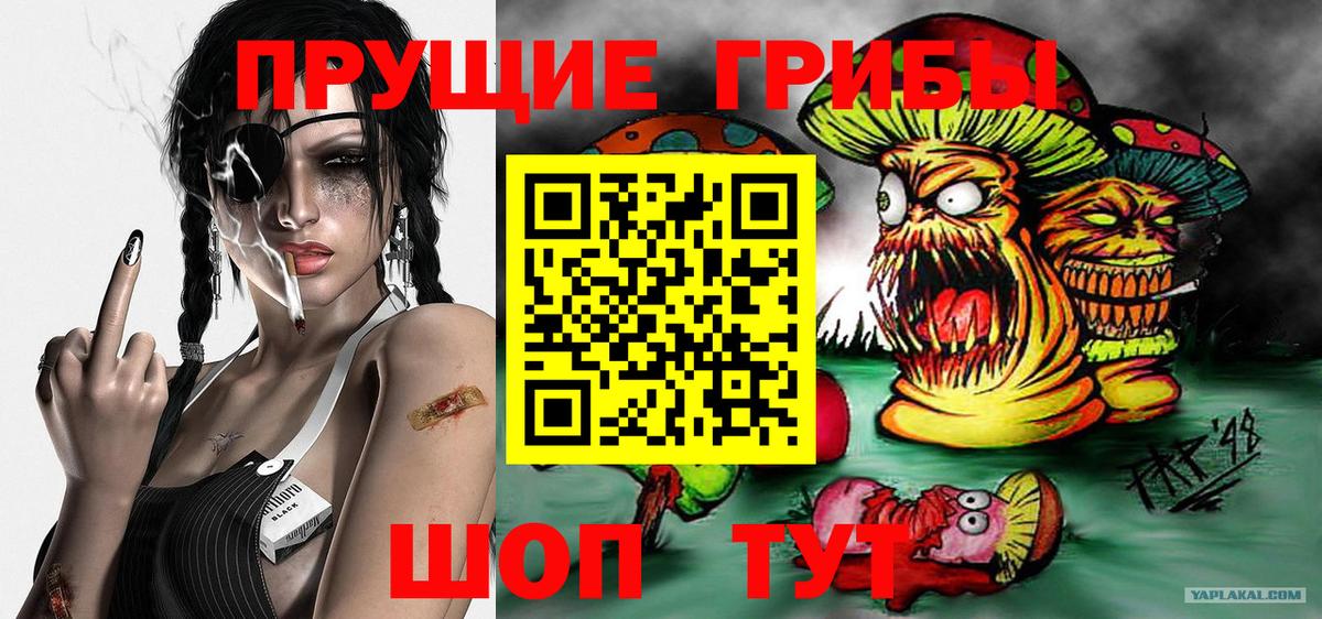 Галлюциногенные грибы мицелий  где купить наркоту  Псилоцибиновые грибы мухоморы  Псков  Вход с VPN 