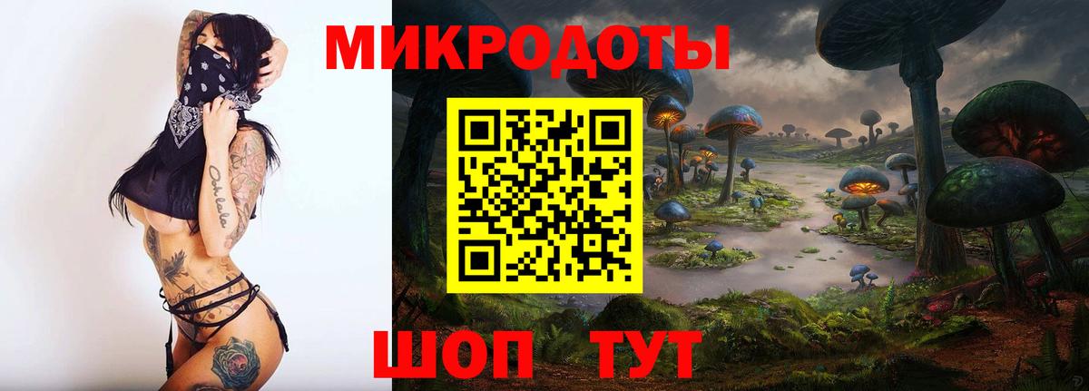 Галлюциногенные грибы Psilocybe Псков